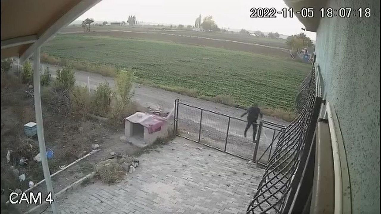 köpek hırsızı kameralara yakalandı