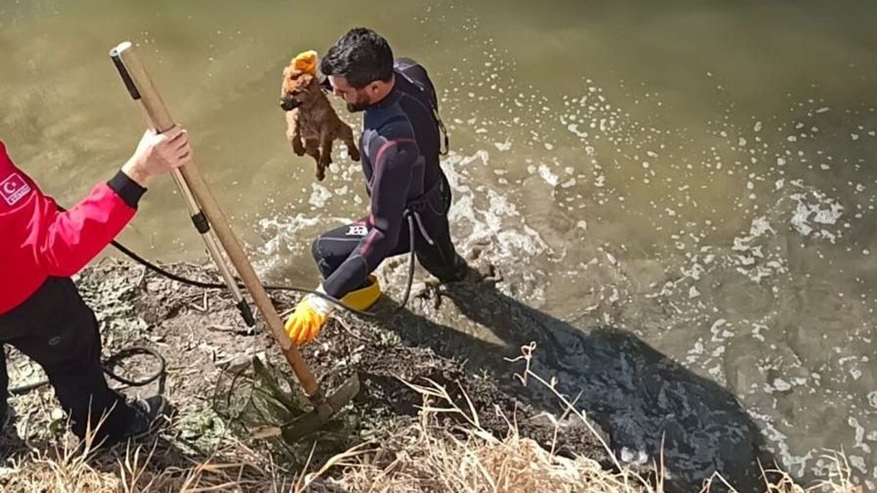 Kanala düşen yavru köpek arama kurtarma ekiplerince kurtarıldı