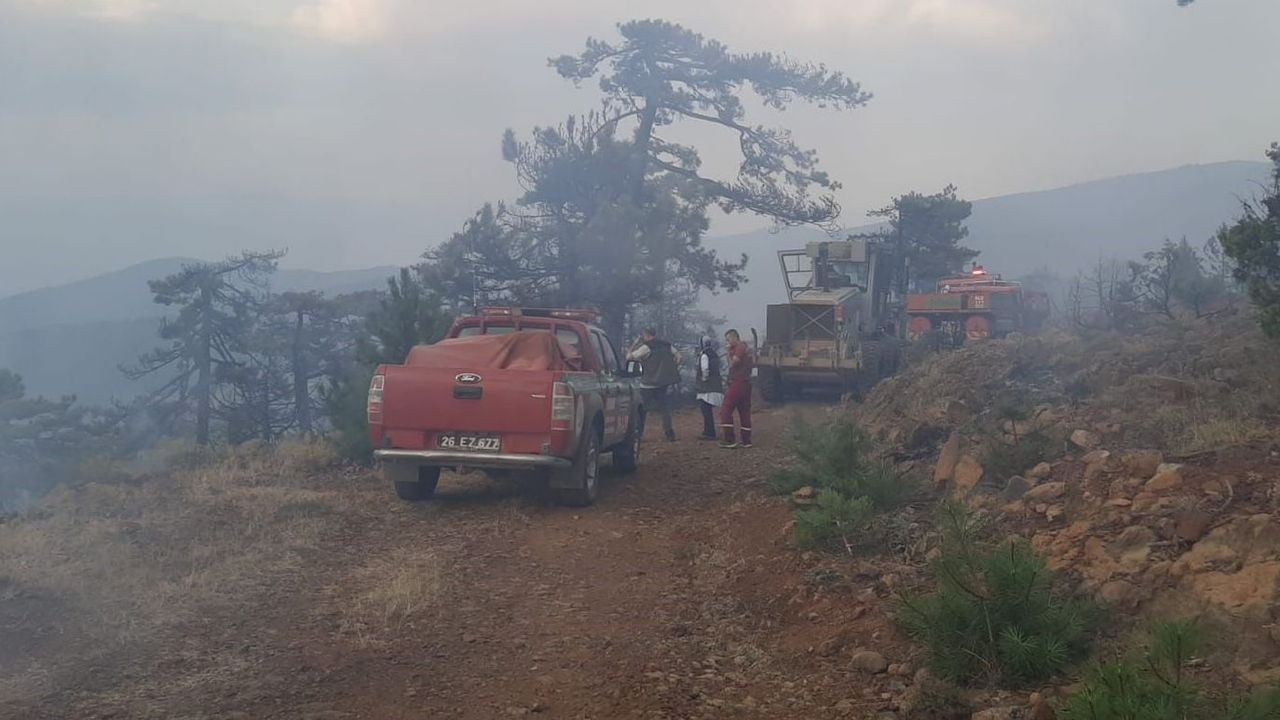 Alpu'da Çıkan Yangın Kontrol Altına Alındı
