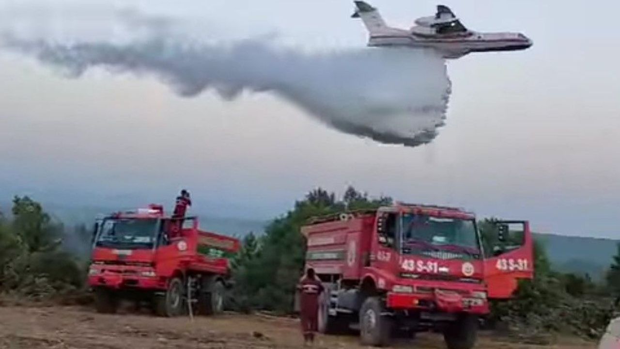 Kütahya'daki Orman Yangını Tamamen Kontrol Altına Alındı