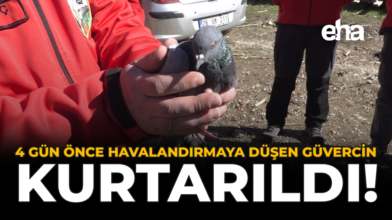 4 Gün Önce Havalandırmaya Düşen Güvercin Kurtarıldı!