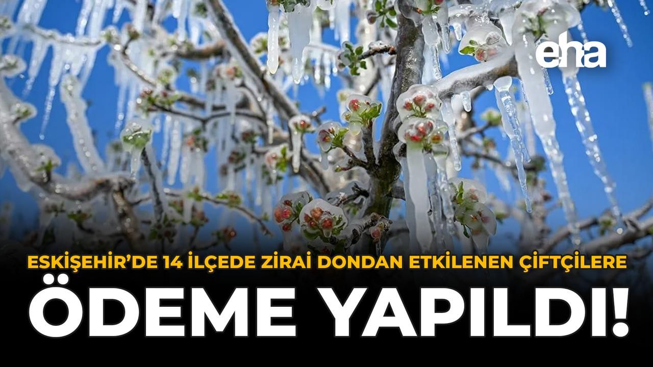 Eskişehir'de 14 İlçede Zirai Dondan Etkilenen Çiftçilere Ödeme Yapıldı!