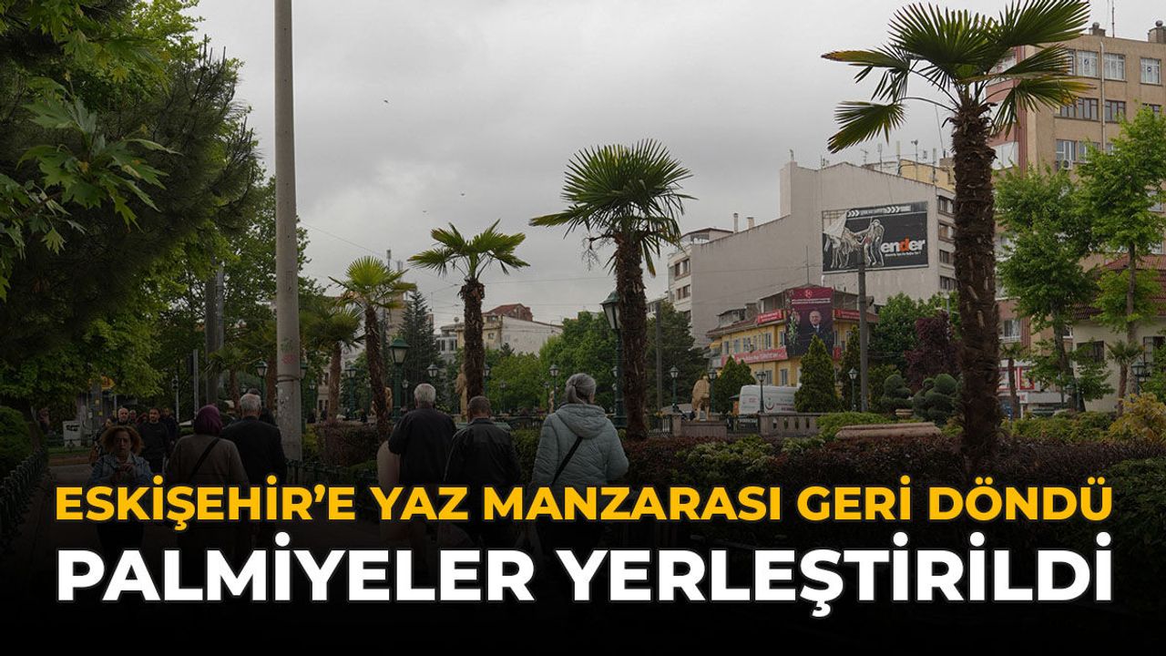Eskişehir'e Yaz Manzarası Geri Döndü: Palmiyeler Yerleştirildi