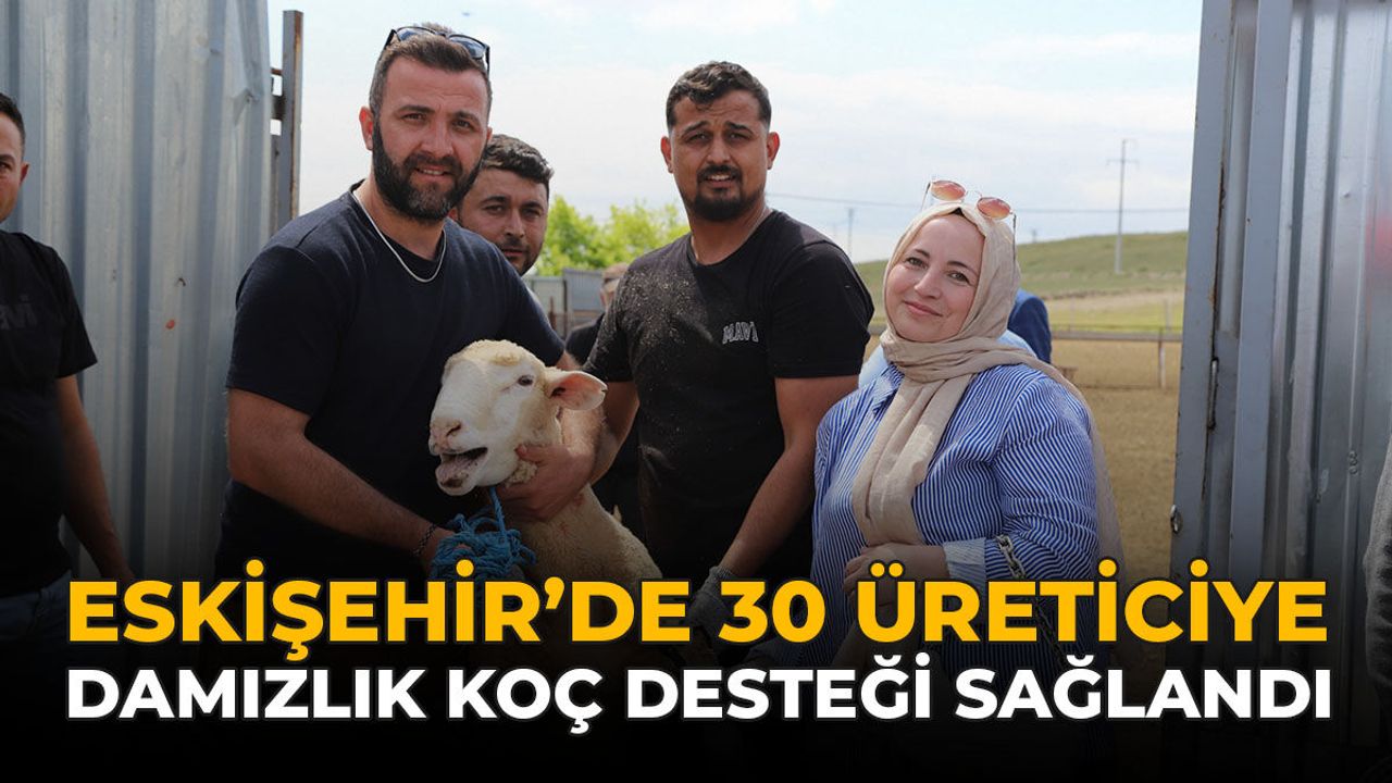 Eskişehir’de 30 Üreticiye Damızlık Koç Desteği Sağ