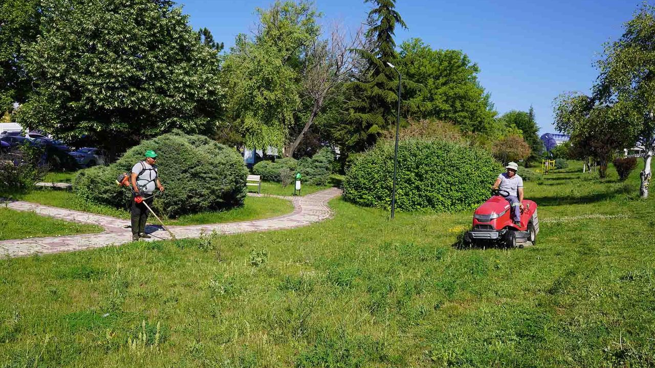 Tepebaşı’nda Parkların Yüzde 60’ında Çim Biçme Tamamlandı