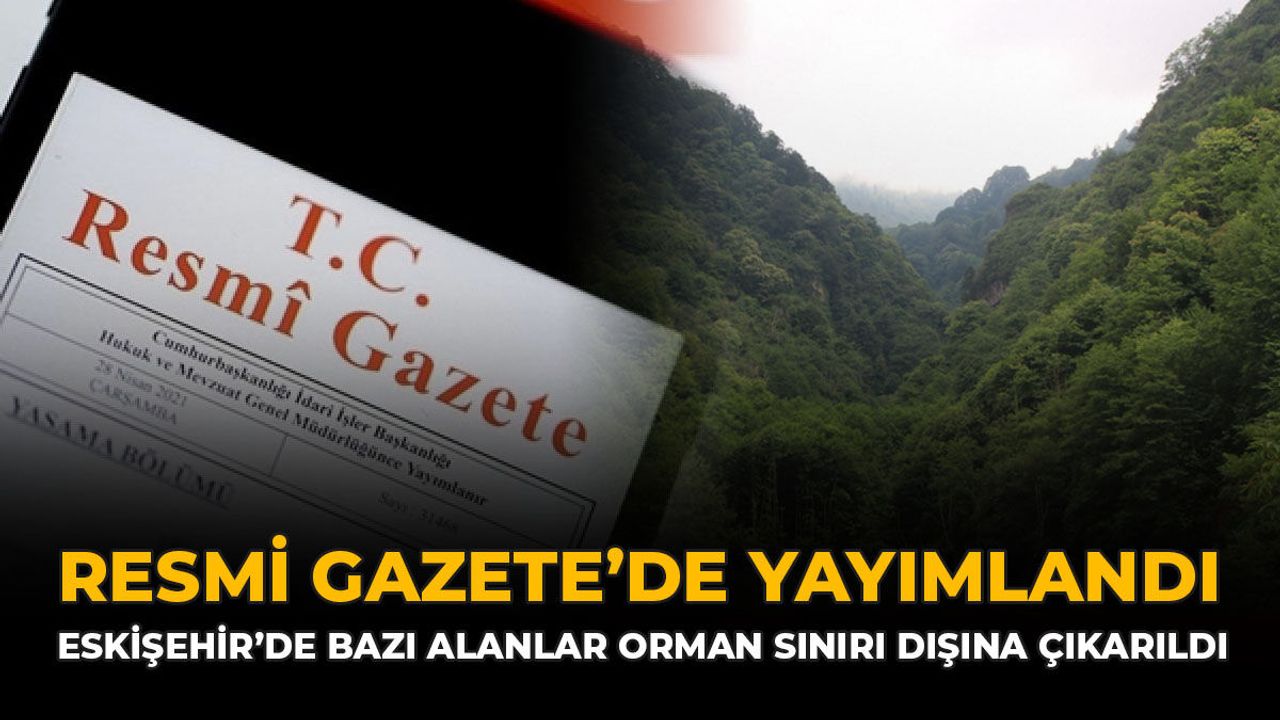 Malatya’daki O Alan Orman Sınırından Çıkarıldı Resmi Gazete’de Yayımlandı