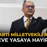 Yeni Parti Milletvekili Arslan Çerçeve Yasaya Hayır Dedi