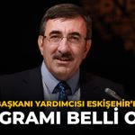 Cumhurbaşkanı Yardımcısı Eskişehir'e Geliyor: Programı Belli Oldu