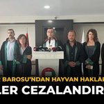 Eskişehir Barosu’ndan Hayvan Hakları Çağrısı: “Failler Cezalandırılsın”