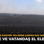 Eskişehir'de Elektrik Tellerine Çarpan Kuş Yangın Çıkardı: İtfaiye ve Vatandaş El Ele Verdi