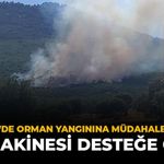 Eskişehir'de Orman Yangınına Müdahale Sürüyor: 2 İş Makinesi Desteğe Geldi