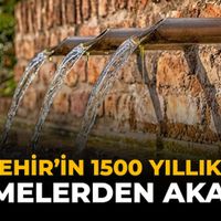 YAŞAM