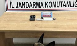 Jandarma narkotik köpeği Akça uyuşturucuya geçit vermedi