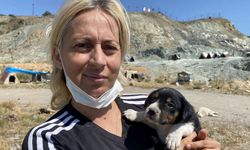 Hayvansever Kadının Çenesini Kıran Sanığa Adli Para Cezası