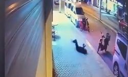 “Şule Çet Davasında Görev Alan Uzmanlar İnceleme Yapacak”