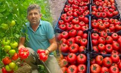 Sarıcakaya'da Çiftçiler Üretimden Memnun