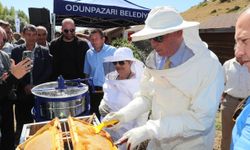 Odunpazarı Arıköy’de Bal Ürettiyor Halk Market’te İhtiyaç Sahiplerine Dağıtıyor
