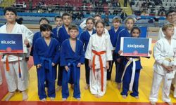 Eskişehirli Minik Judocular Madalyaları Topladı