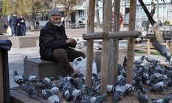 Eskişehir'de Sokaktaki Kuşlar Yalnız Değil