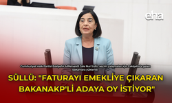 Süllü: "Faturayı Emekliye Çıkaran Bakan AKP'li Adaya Oy İstiyor"