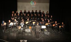 Çiftelerliler Derneği'nden Türk Halk Müziği Konseri