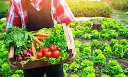İyi ve Organik Tarıma Yönelik Farkındalık Eğitimi