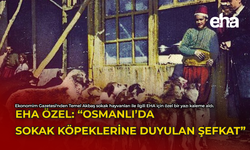 EHA Özel: "Osmanlı'da Sokak Köpeklerine Duyulan Şefkat"