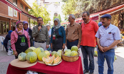 Kızılinlerli Kadınlar 'Bağrıbütün' Kavunu Üretiyor