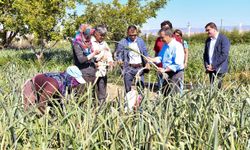 "Tepebaşı'ndaki Üretim Bir İftihar Tablosu"