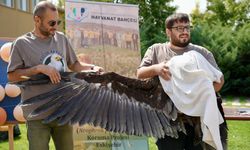 Büyükşehir Hayvanat Bahçesi'nde Kutlama