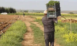 Eskişehir Çiftçisine 50 Milyonun Üzerinde Destek