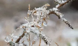 Meteoroloji Soğuk Havalara Karşı Uyardı