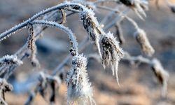 Meteoroloji Eskişehir'i Uyardı: Zirai Don Olabilir!