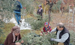 2 Ton Ürün Çıktı, Yüzleri Güldü