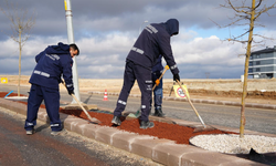 Büyükşehir'de Kuru Peyzaj Çalışmaları Sürüyor