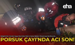 Porsuk Çayı'nda Acı Son!