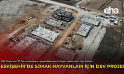 Eskişehir'de Sokak Hayvanları İçin Dev Proje!