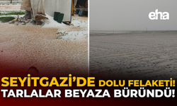 Seyitgazi'de Dolu Felaketi: Tarlalar Beyaza Büründü!