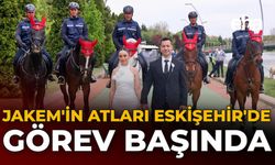 JAKEM'in Atları Eskişehir'de Görev Başında