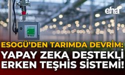 ESOGÜ'den Tarımda Devrim: Yapay Zeka Destekli Erken Teşhis Sistemi!