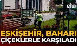 Eskişehir Baharı Çiçeklerle Karşıladı