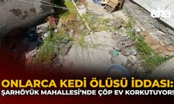 Onlarca Kedi Ölüsü İddiası: Şarhöyük Mahallesi'ndeki Çöp Ev Korkutuyor!