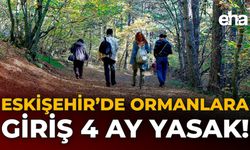 Eskişehir’de Ormanlara Giriş 4 Ay Yasak!