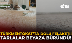 Türkmentokat'ta Dolu Felaketi: Tarlalar Beyaza Büründü!