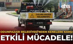 Odunpazarı Belediyesi’nden Kenelere Karşı Yoğun Mücadele!