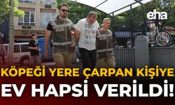 Köpeği Yere Çarpan Kişiye Ev Hapsi Verildi!