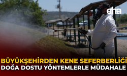 Büyükşehir’den Kene Seferberliği: Doğa Dostu Yöntemlerle Müdahale