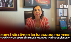 CHP'li Süllü'den İklim Kanunu'na Tepki: “Doğayı Yok Eden Bir Meclis Olarak Tarihe Geçilecek”