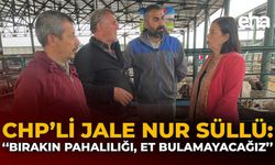CHP'li Jale Nur Süllü: "Bırakın Pahalılığı, Et Bulamayacağız"