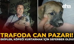Trafoda Can Pazarı: Ekipler, Köpeği Kurtarmak İçin Seferber Oldu!